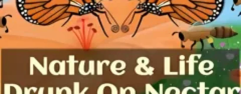 Nature And Life – Drunk On Nectar Free Download